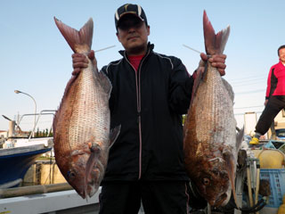 福岡釣り船昭隆丸|2012年04月15日釣果